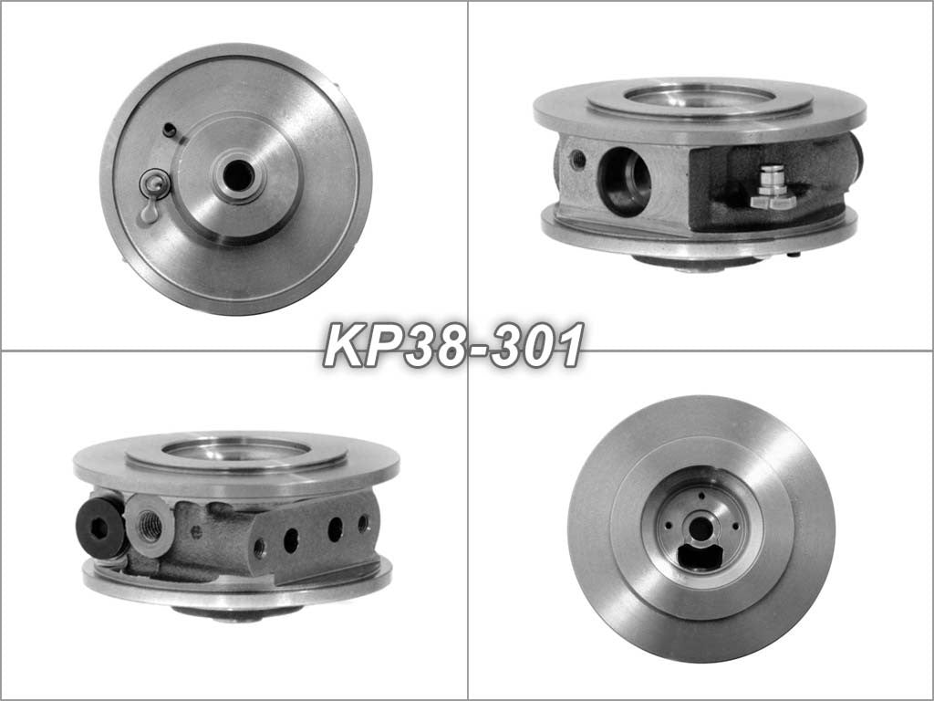 Bearing housing BW-01-0031