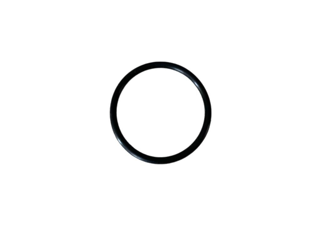 O-ring TD04-200