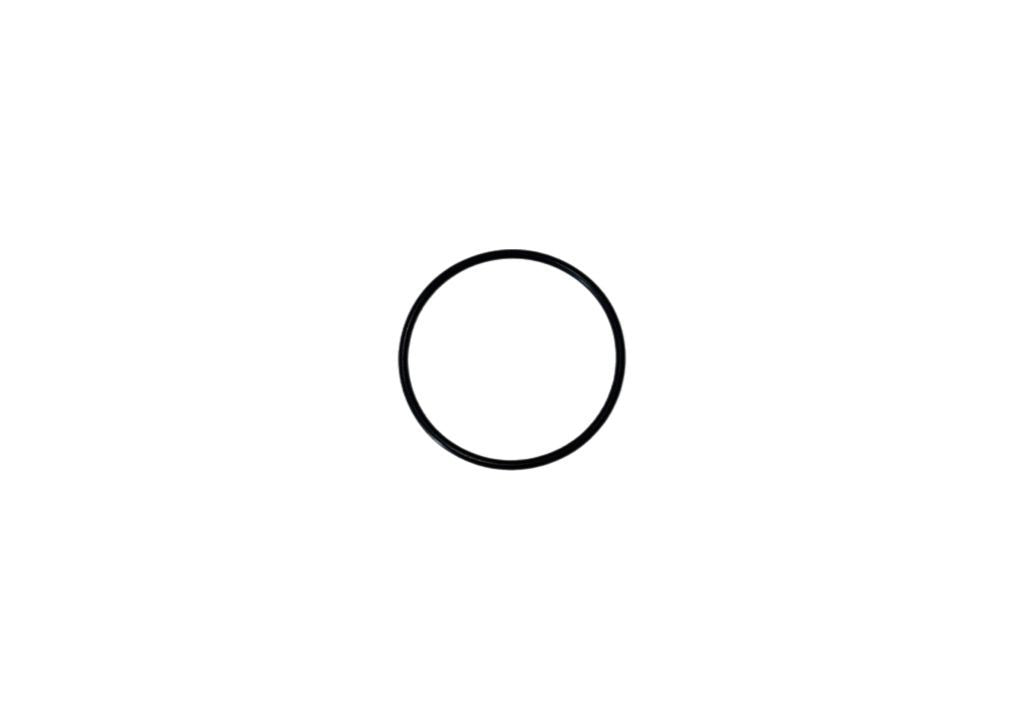 O-ring GT15-207