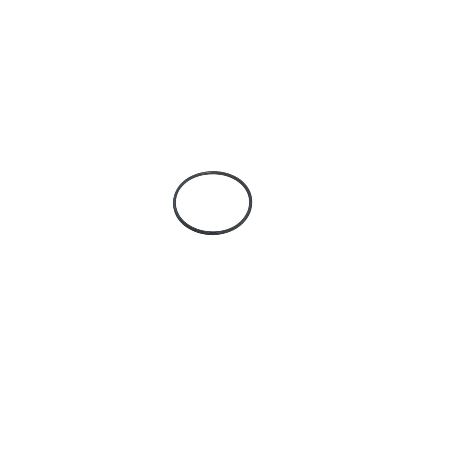 O-ring (back/seal-plate) GT15-200