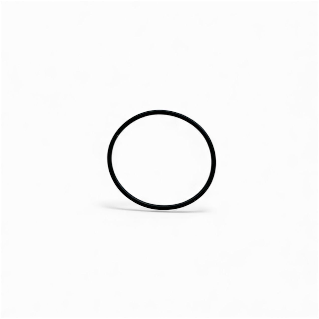 O-ring (back/seal-plate) S200-200