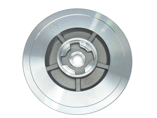 Back plate BW-08-0021
