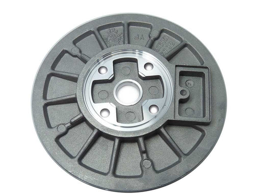 Back plate BW-08-0037