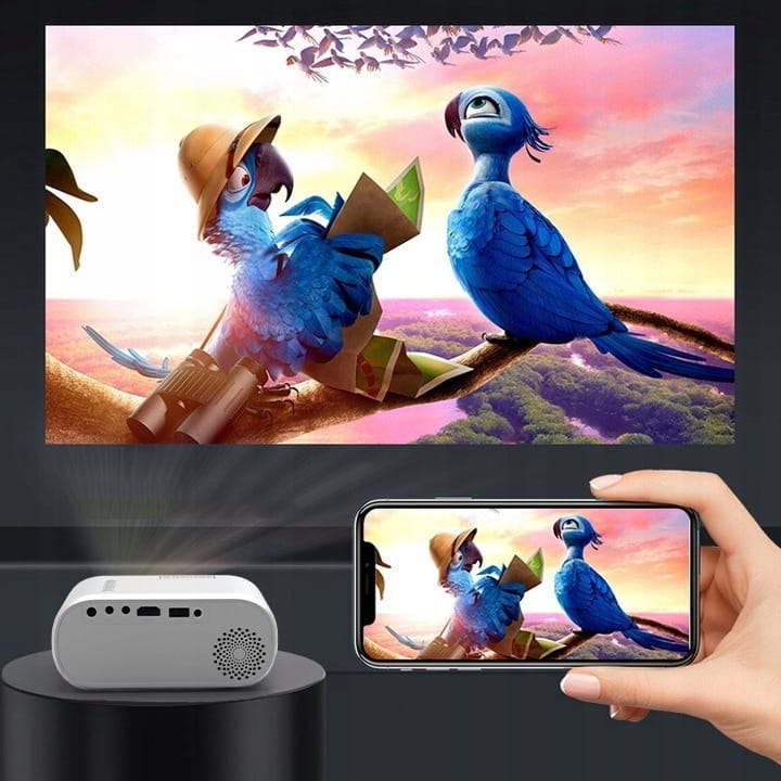 Zenwire Mini Projector Projector d300s srebrn