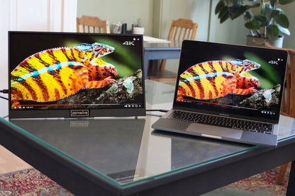 Zenwire M8P 15,6-palčni Portable monitor USB-C