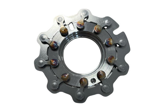 Nozzle ring assy BM-06-0003