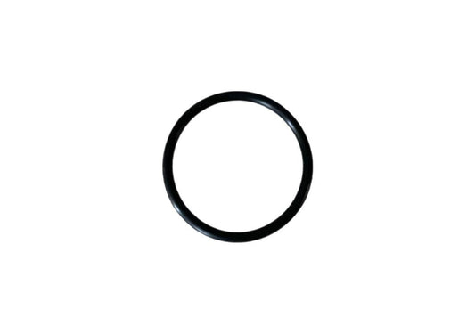 O-ring TD04-200