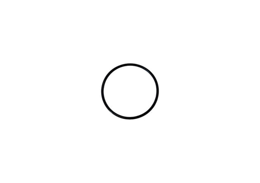 O-ring GT15-207