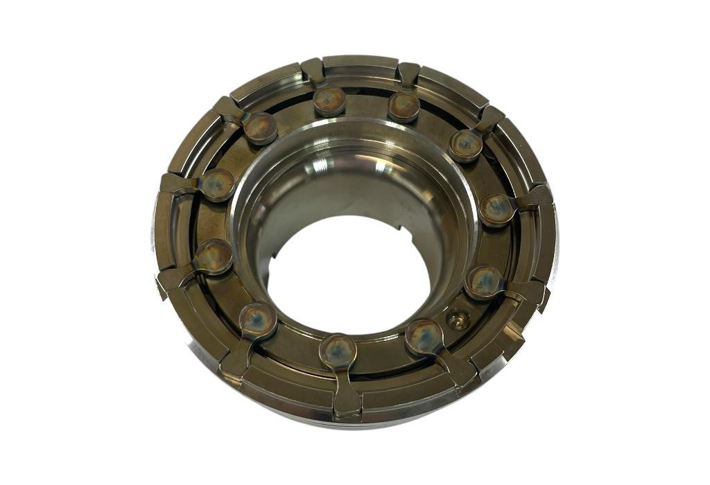 Nozzle ring assy BW-06-0021