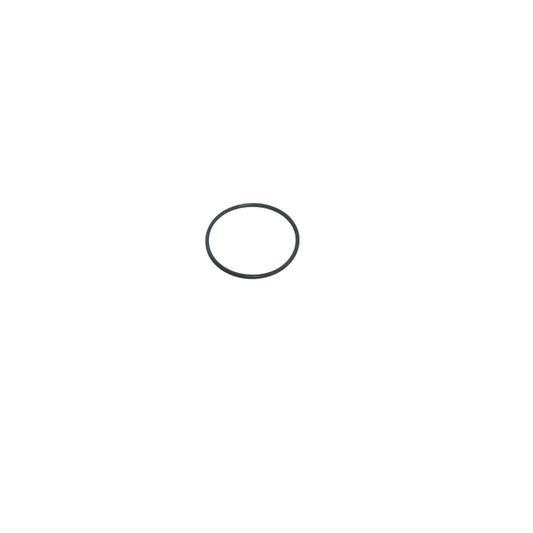O-ring (back/seal-plate) GT15-200