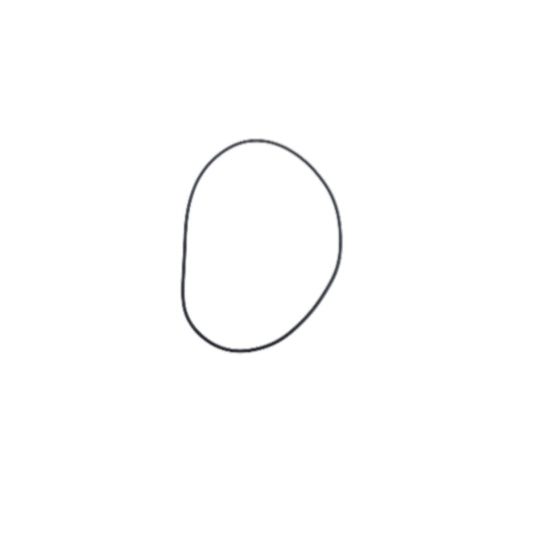 O-ring (compr) HY55-201