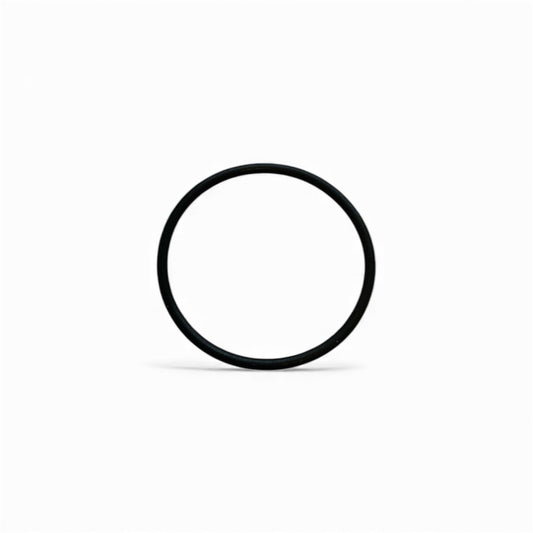 O-ring (back/seal-plate) TD05-200