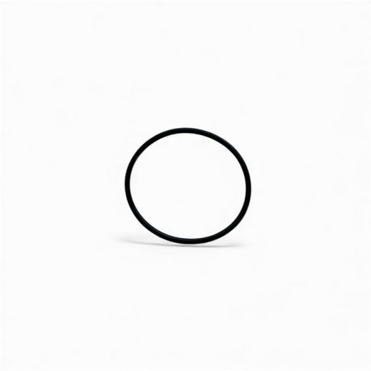 O-ring (back/seal-plate) S200-200
