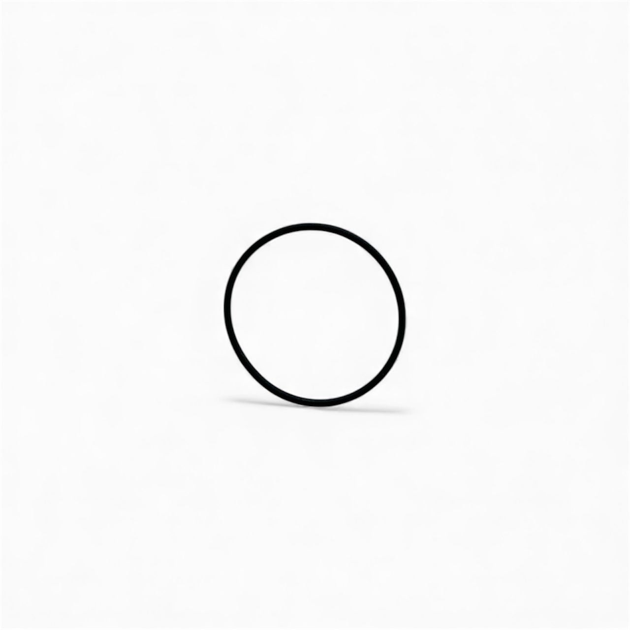 O-ring (back/seal-plate) S2B-200