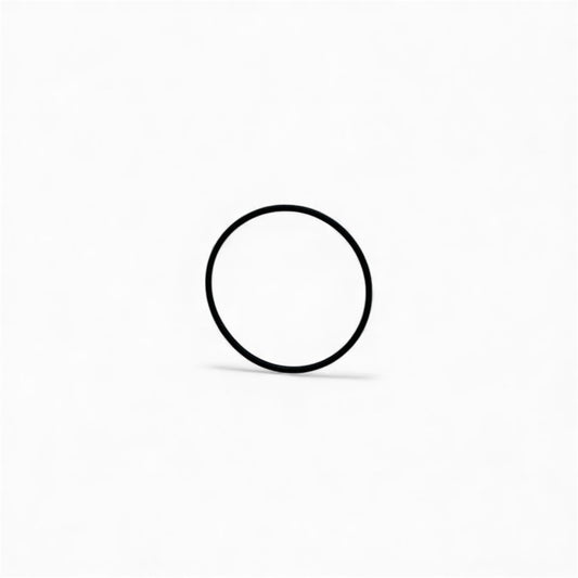 O-ring (back/seal-plate) S2B-200