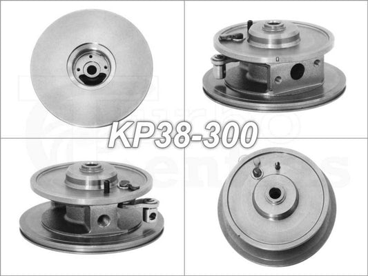 Bearing housing BW-01-0030