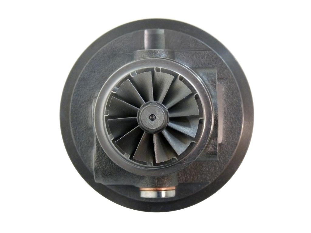 Cartridge BW-00-0110